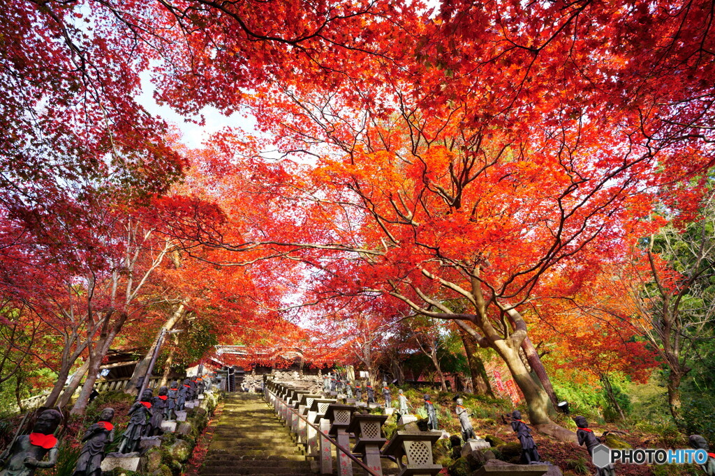 丹沢大山の紅葉