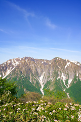 白毛門からの谷川連峰