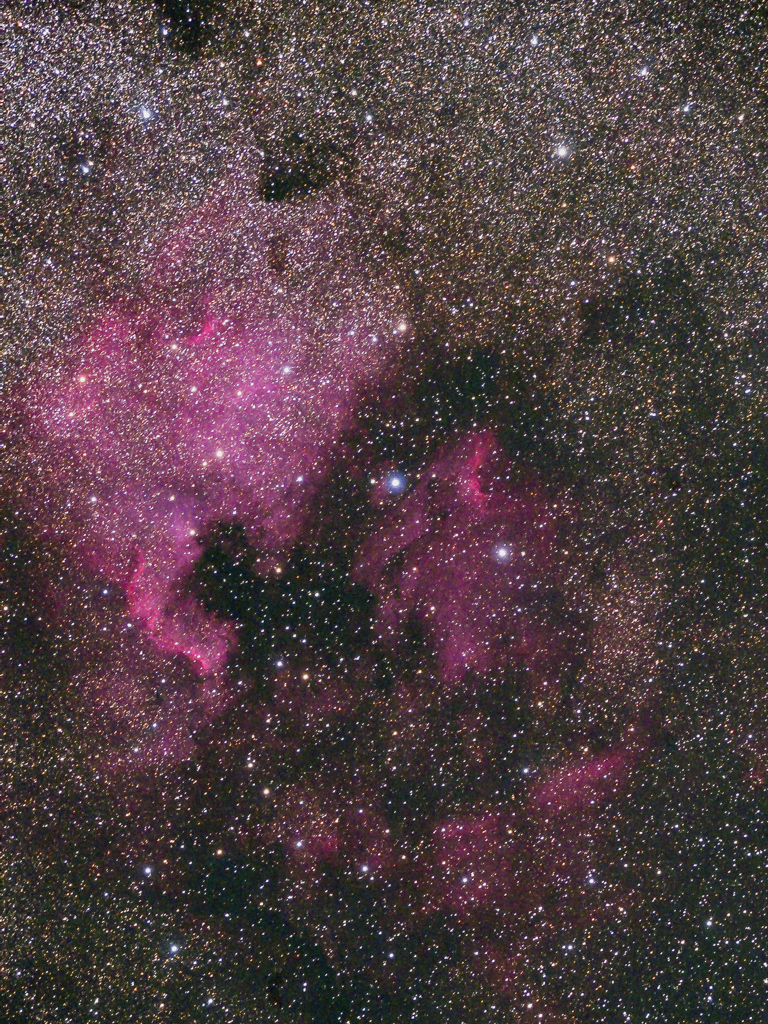 北アメリカ星雲とペリカン星雲