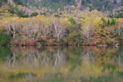 湯の湖の秋