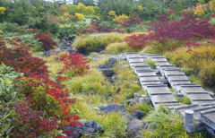 苗場山の紅葉１