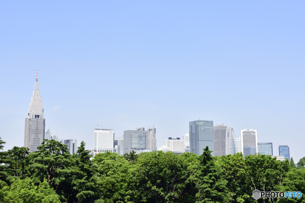 新緑の都市風景