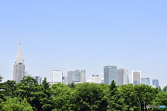新緑の都市風景