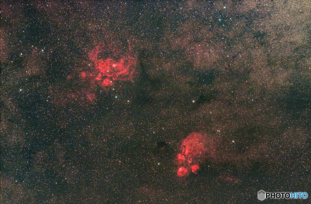 出目金星雲と彼岸花星雲