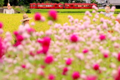 かくれんぼ