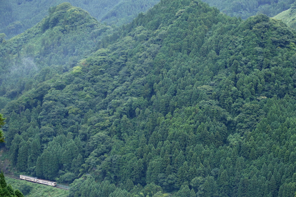 鳥瞰
