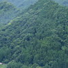 鳥瞰