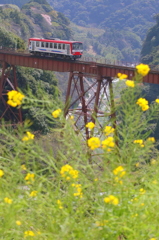 南阿蘇鉄道の春