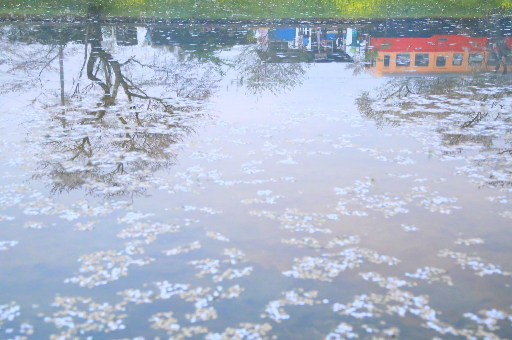 水の中の春
