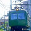 青がえる