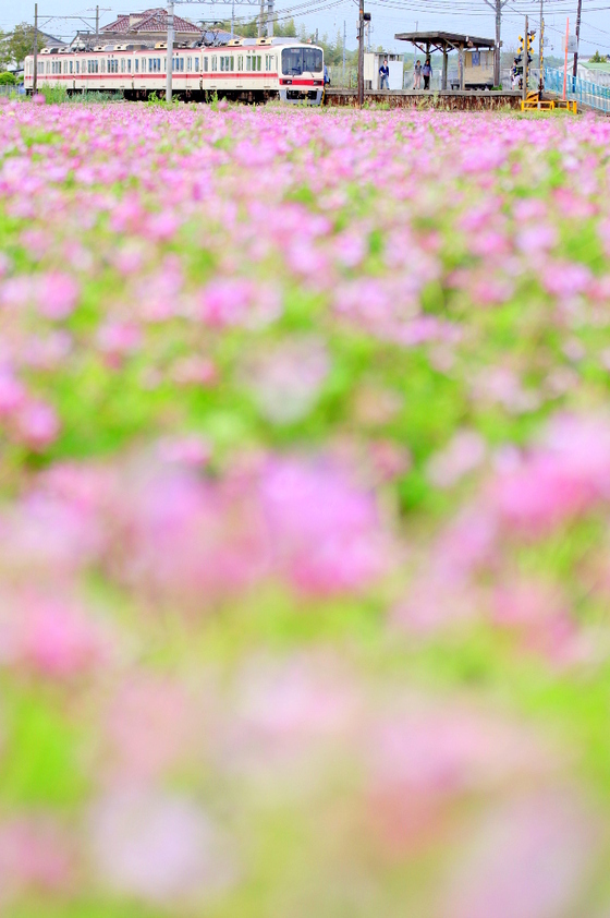 蓮華の郷