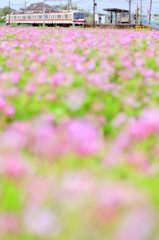 蓮華の郷