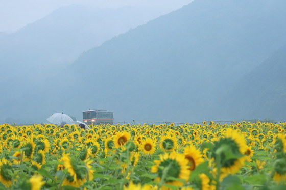 雨の姫新線