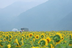 雨の姫新線