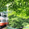 爽やかなとき