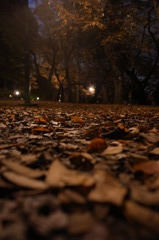 秋FALL