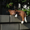 ねこ
