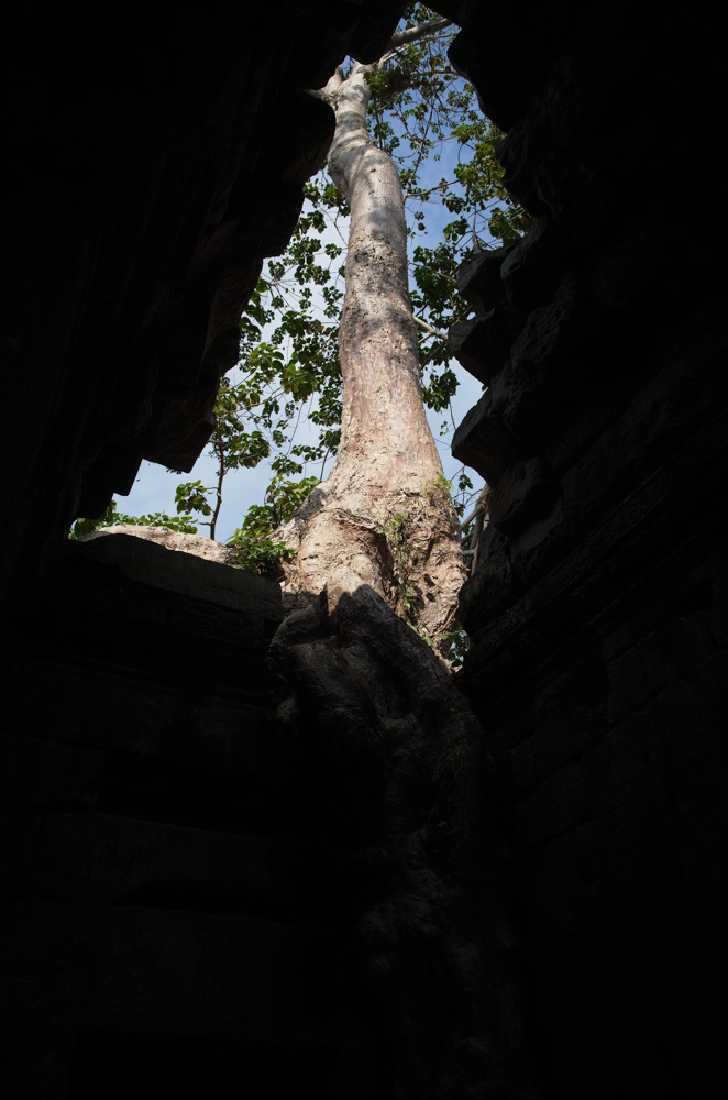 アンコール遺跡群