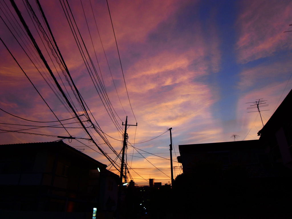 夕日