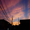 夕日