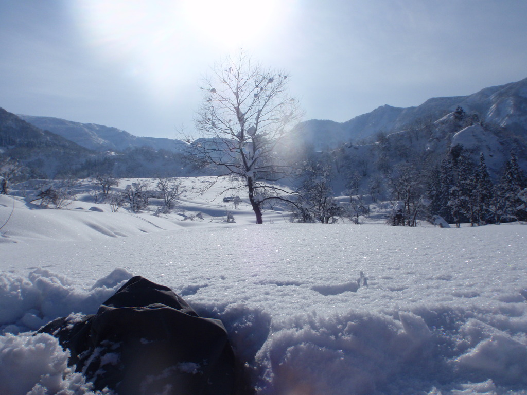 雪原で遊ぶ