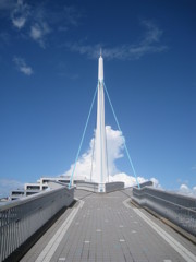 天使の輪だったら・・・。