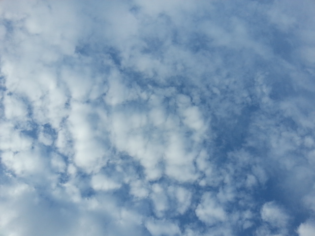 夏の終わりを告げる、秋雲