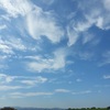 稲刈りが終わったら、空も秋に衣替え