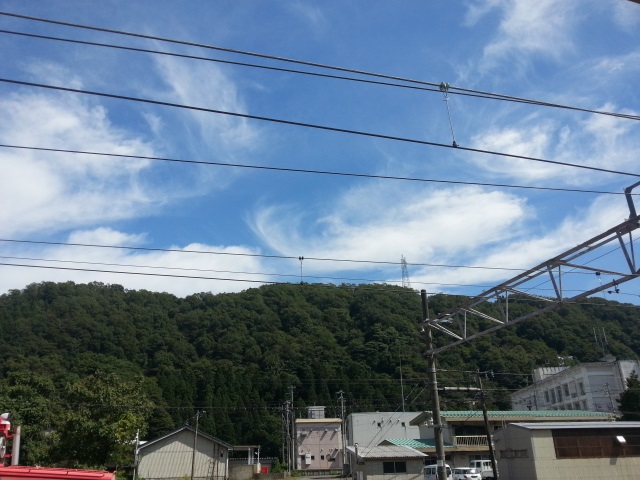 蒼と黒線