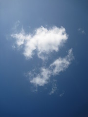 普通の雲