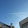 青いキャンバスに白線