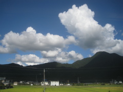 秋はまだまだ！夏雲復活！