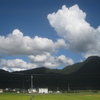 秋はまだまだ！夏雲復活！