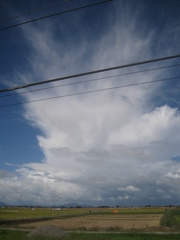 雷様のパー
