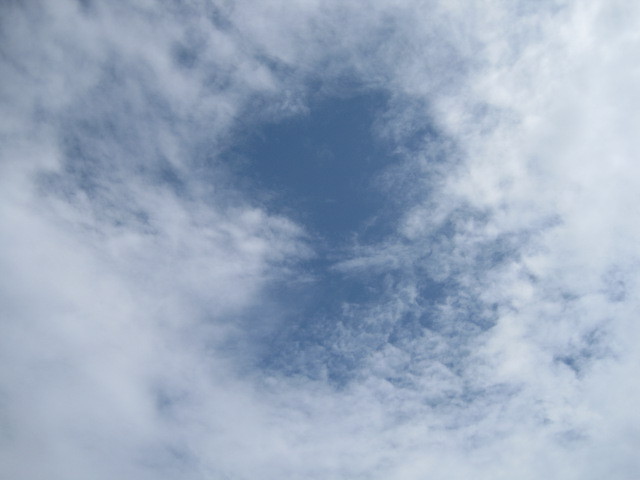 お池