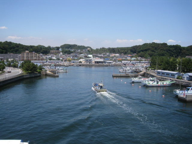 帰港