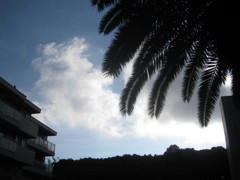 ハワイみたいでしょ２