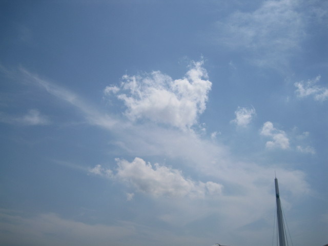 今日も暑くなりそうだ