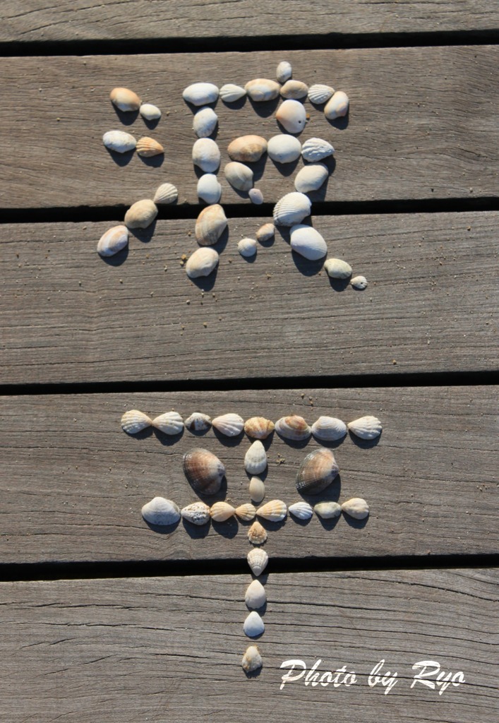 Shell　５（Last)