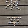 Shell　５（Last)