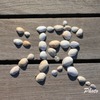 Shell　４