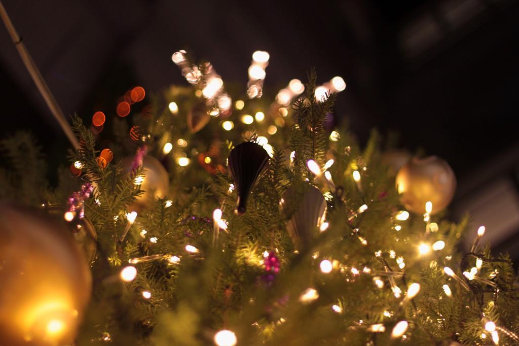 X'mas　イルミ
