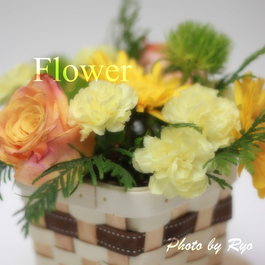 Flower2