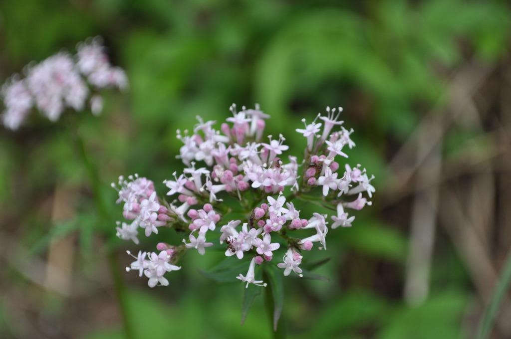 よく見ると・・・
