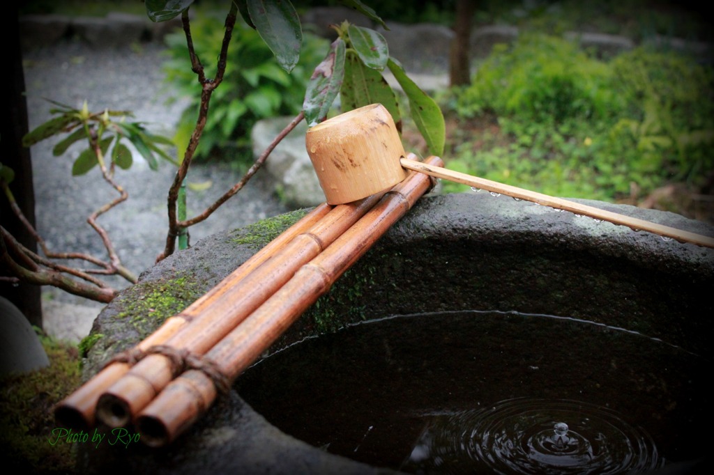 雨粒