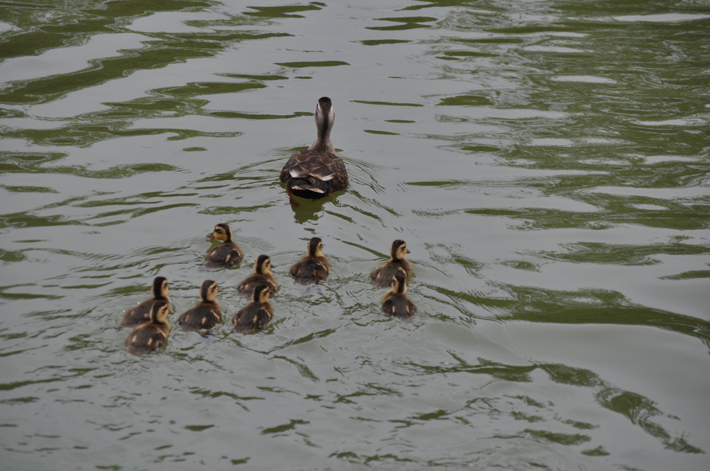 さぁ　帰りましょ