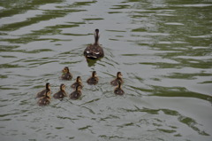 さぁ　帰りましょ