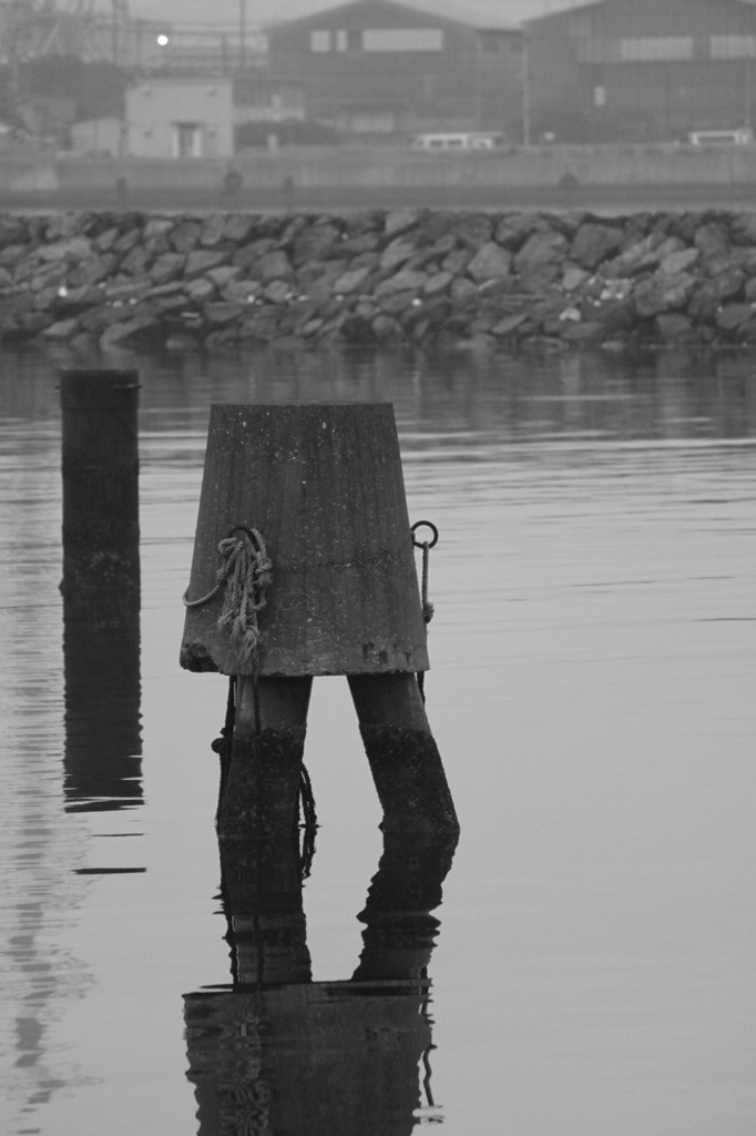 スカートの様だ