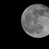 moon。