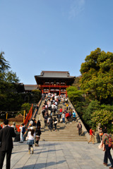 大銀杏が無くなってしまった鶴岡八幡宮